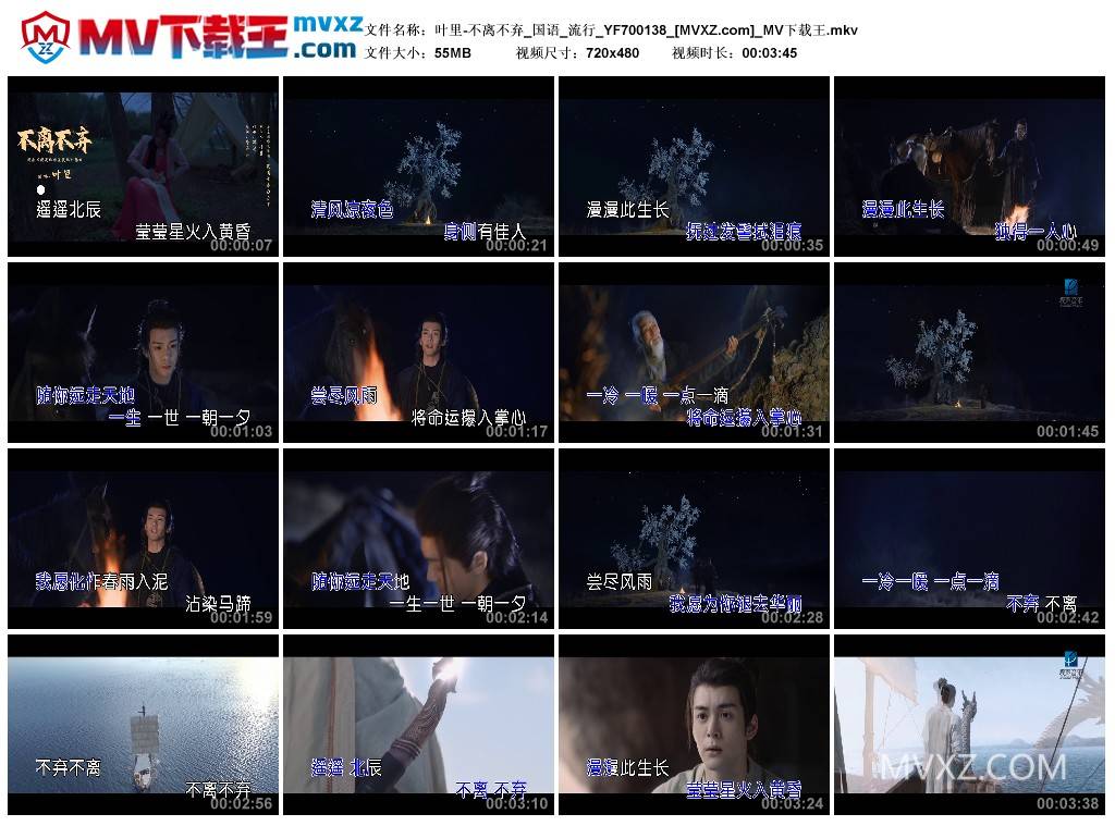 叶里-不离不弃_国语_流行_YF700138